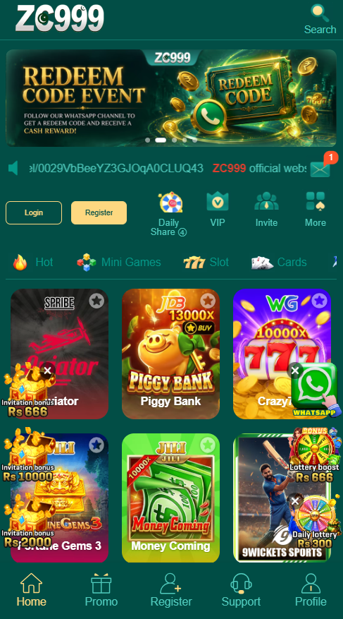 zc999 game