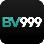 BV 999 Game